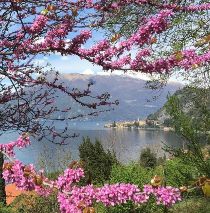 La Punta Di Varenna Exterior foto